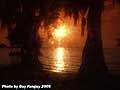 Guy Fanguy - Artist - Photographer - Guy Fanguy - Campgrounds - Louisiana -  Lake End Park in Morgan City (106).jpg Size: 34344 - 12